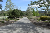 Enlarge photo 98