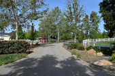 Enlarge photo 99