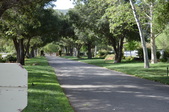 Enlarge photo 102