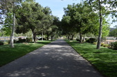Enlarge photo 103