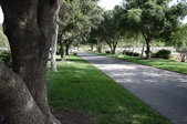 Enlarge photo 106