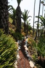 Enlarge photo 10