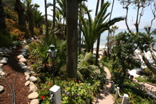 Cypress Sea Cove