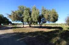 Enlarge photo 13