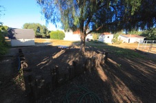 Enlarge photo 37