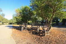Enlarge photo 49