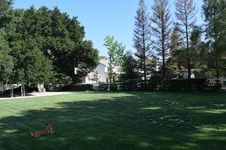 Enlarge photo 72
