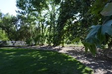Enlarge photo 74