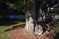 Enlarge photo 21