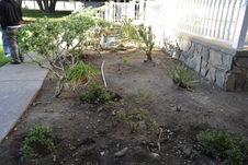 Enlarge photo 42