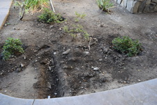Enlarge photo 43