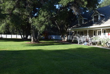 Enlarge photo 48