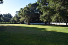 Enlarge photo 50
