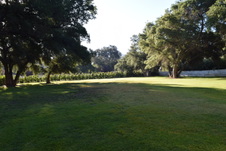 Enlarge photo 51