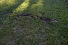 Enlarge photo 52