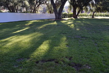 Enlarge photo 53