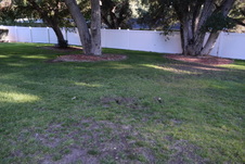 Enlarge photo 54
