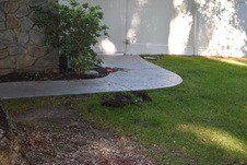 Enlarge photo 57