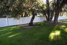 Enlarge photo 62
