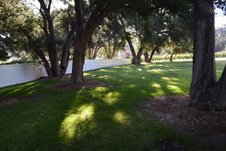 Enlarge photo 63