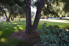 Enlarge photo 64