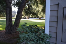 Enlarge photo 65