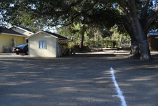 Enlarge photo 84