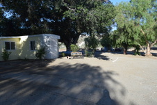 Enlarge photo 87