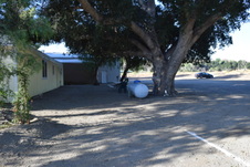 Enlarge photo 95