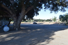 Enlarge photo 96