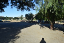 Enlarge photo 97