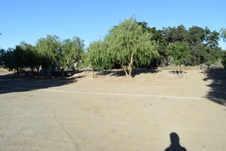 Enlarge photo 117