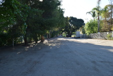 Enlarge photo 120