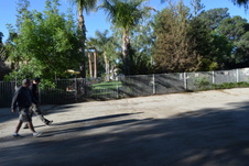 Enlarge photo 124