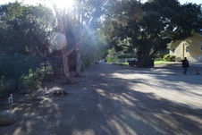 Enlarge photo 127