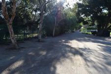 Enlarge photo 129