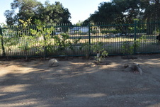 Enlarge photo 131