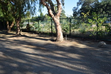 Enlarge photo 132