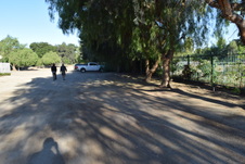 Enlarge photo 133
