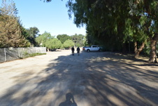 Enlarge photo 134