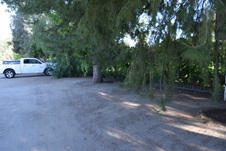 Enlarge photo 136