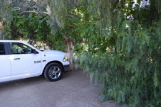 Enlarge photo 138