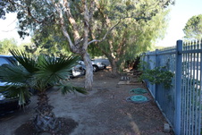 Enlarge photo 141