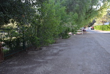 Enlarge photo 147