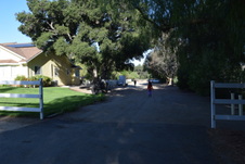 Enlarge photo 151