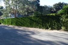 Enlarge photo 152