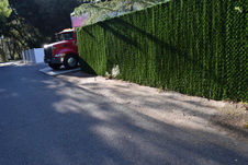 Enlarge photo 158
