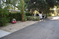 Enlarge photo 173