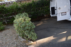 Enlarge photo 179