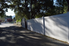 Enlarge photo 197